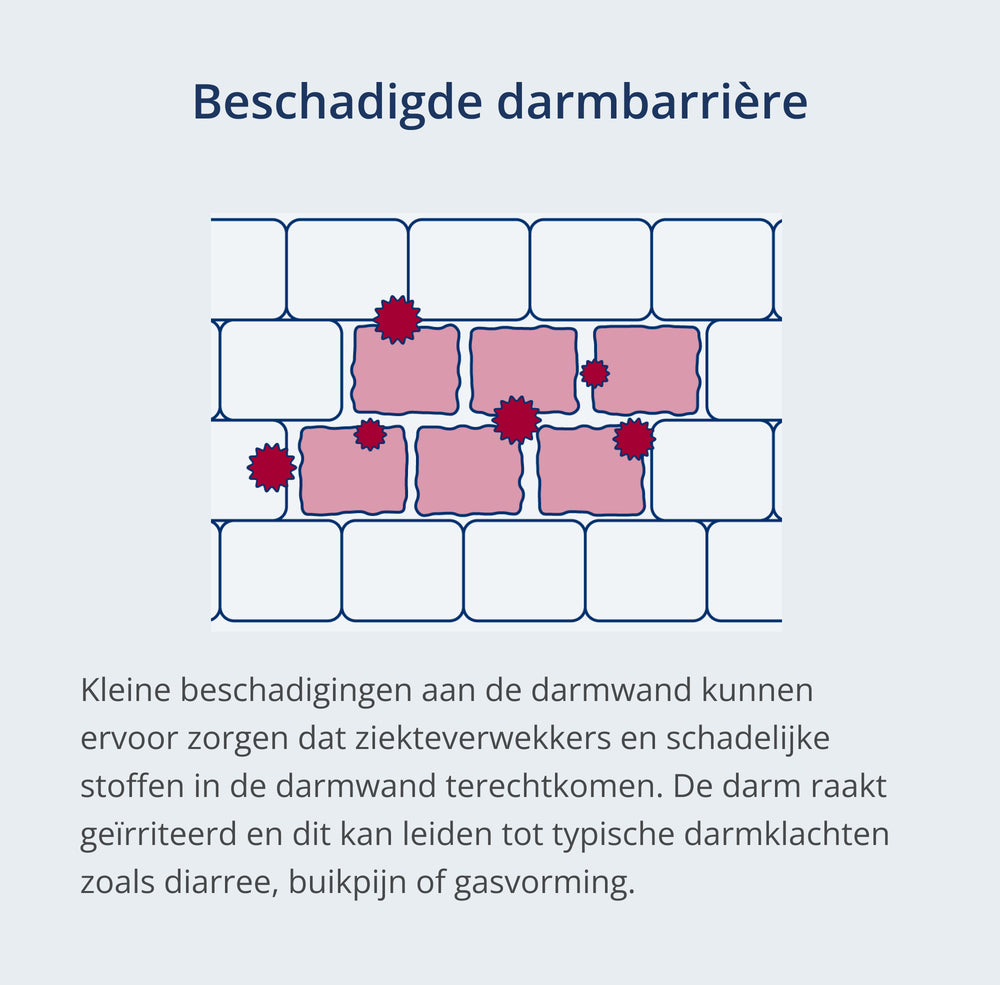Karakteristieke tekening van een beschadigde darmwand