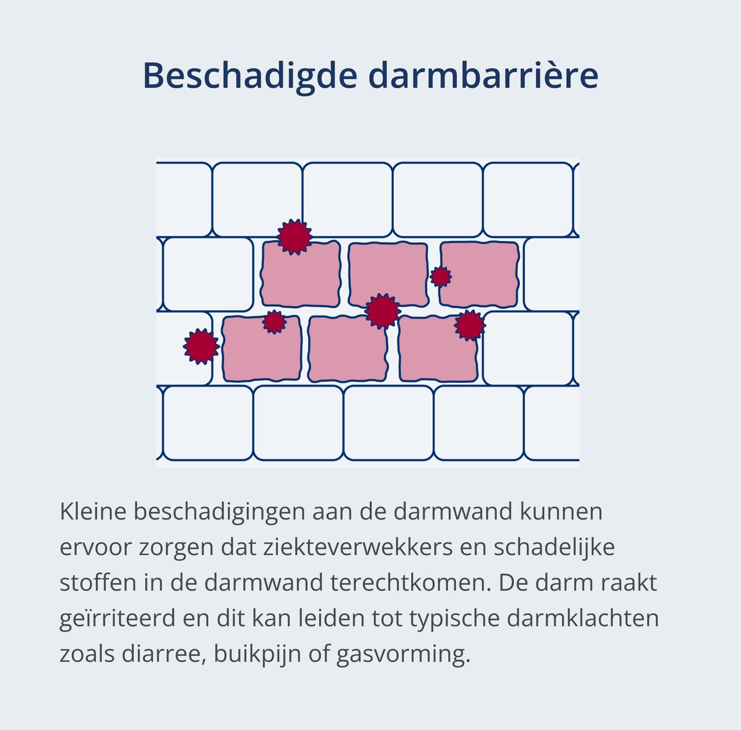 Karakteristieke tekening van een beschadigde darmwand