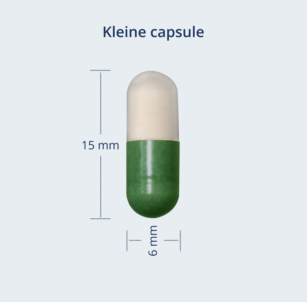 Een kleine capsule van 15 mm x 6 mm