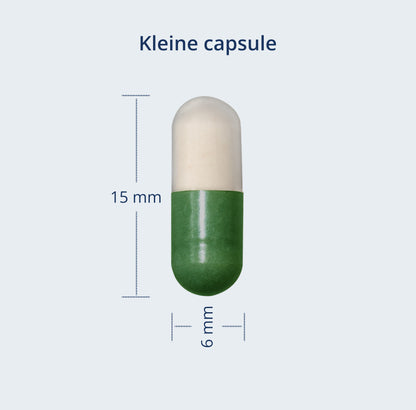 Een kleine capsule van 15 mm x 6 mm