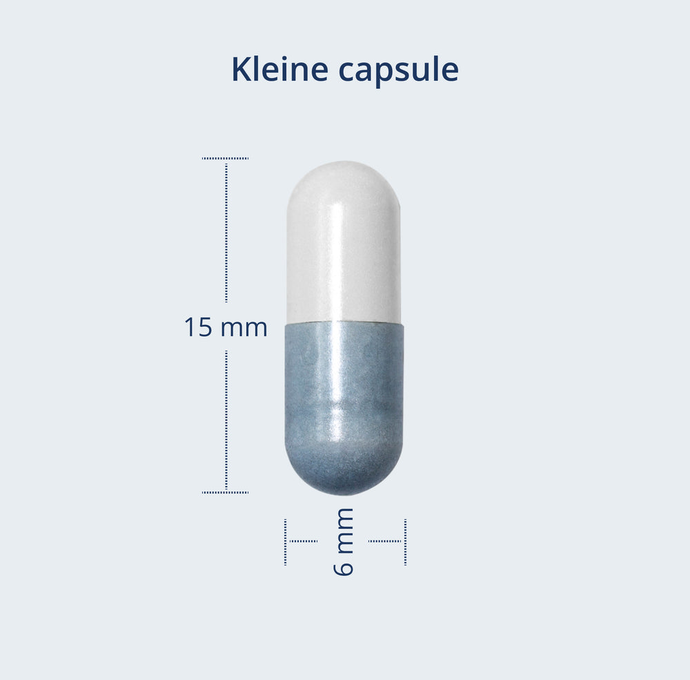 Een kleine capsule van 15 mm x 6 mm