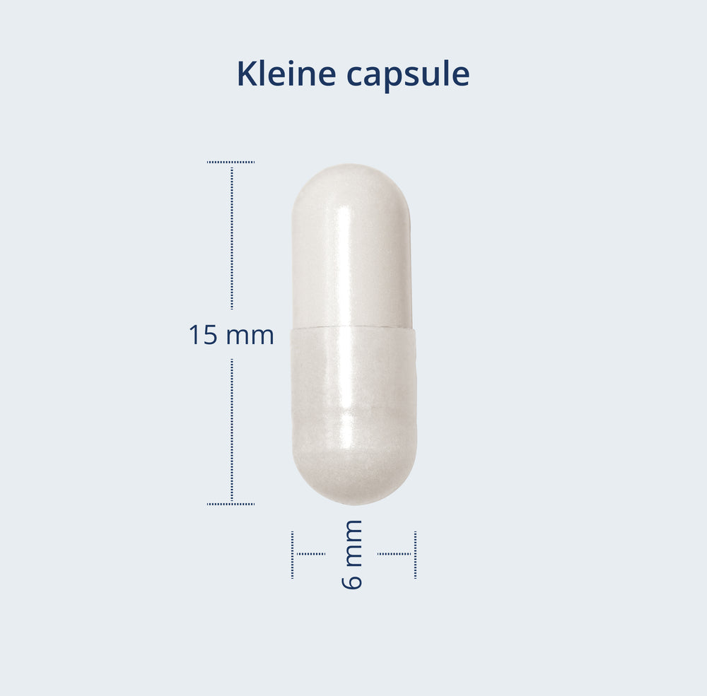 Een kleine capsule van 15 mm x 6 mm