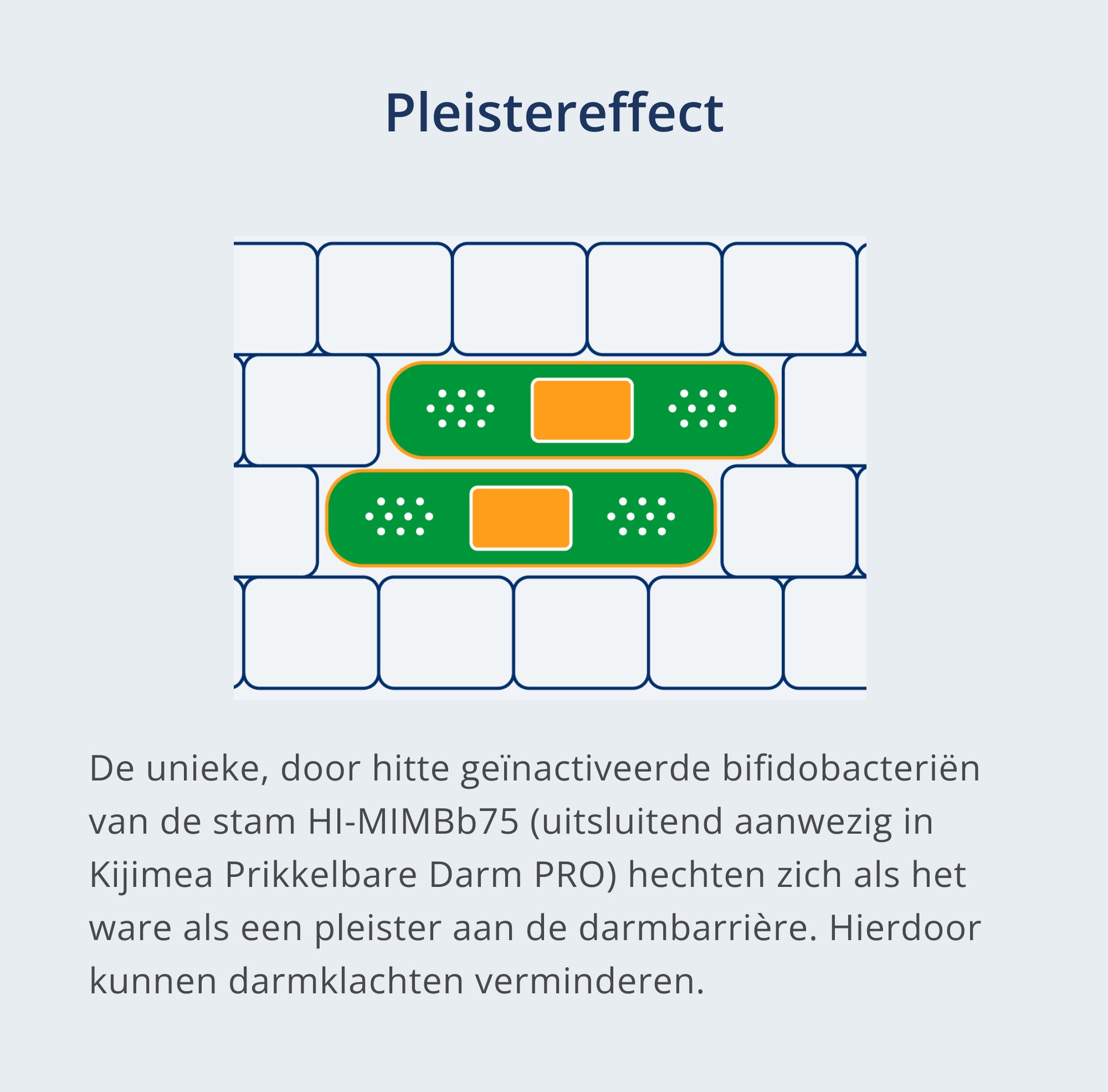 Karakteristieke tekening van een pleister die aan de darmwand kleeft