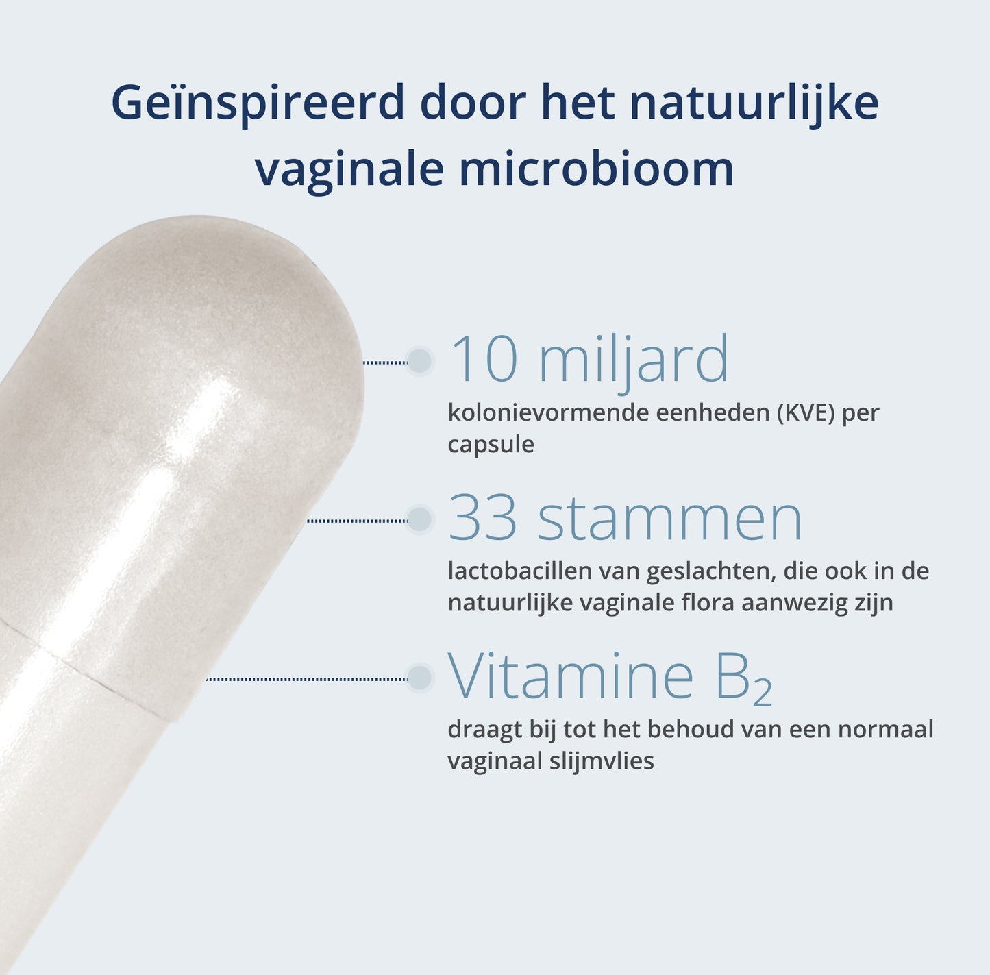 Een foto van: Productbeschrijving